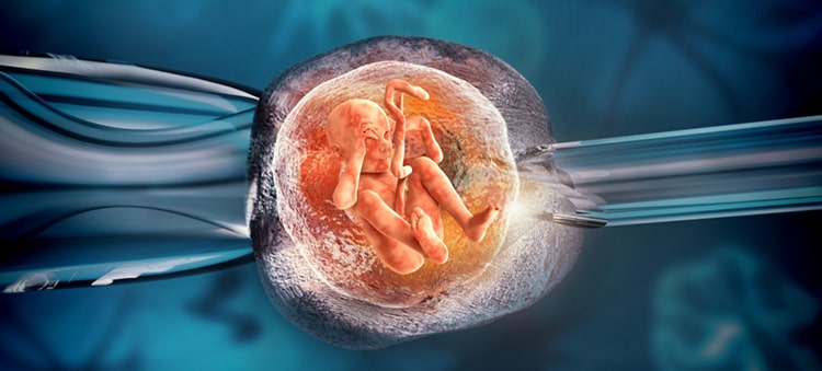 The Dangers of Numerous Pregnancy After IVF